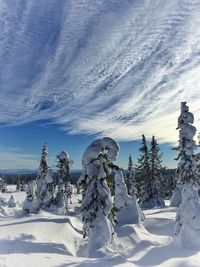 Trees on snow covered landscape against blue sky