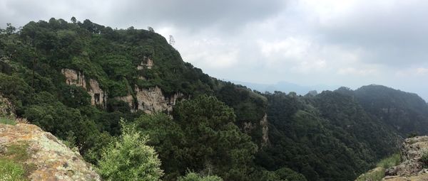 Scenic view of forest against sky