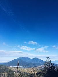 Scenic view of landscape against blue sky