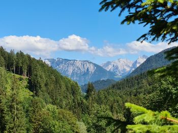mountain