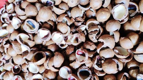 Full frame shot of mushrooms