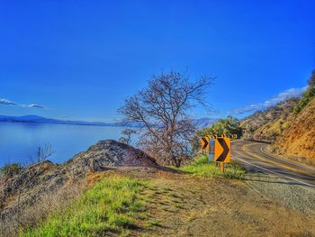 Road by trees against blue sky