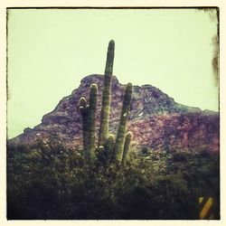 Low angle view of mountain against sky