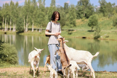 Girl feeds and plays with goats on a farm