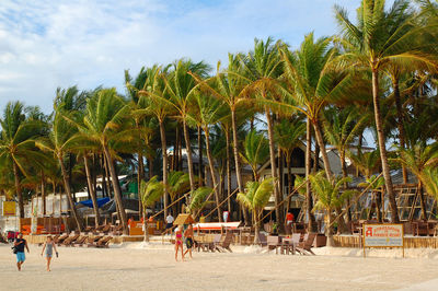 People by palm trees on beach against sky