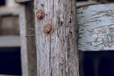 Close-up of open door