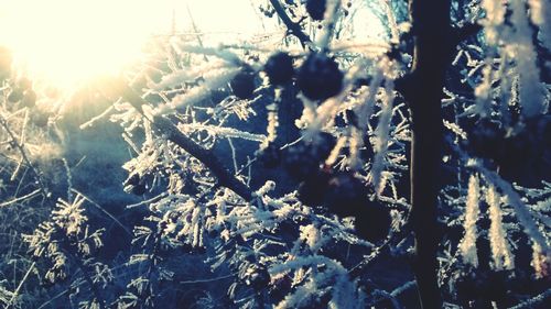 Sun shining through clouds