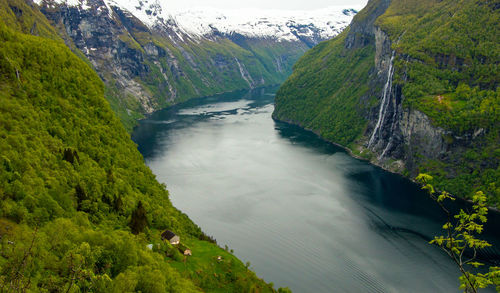 Scenic view of river amidst trees in forest