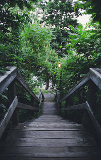 Footbridge amidst trees