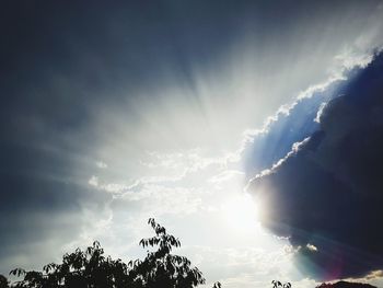 Low angle view of sunlight streaming through silhouette trees against sky
