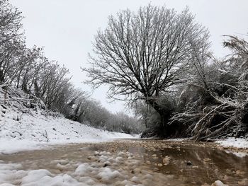 Bare trees on snow covered landscape against sky