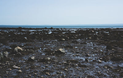 Scenic view of sea against clear sky