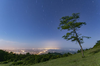 Trees on landscape against sky at night