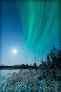 Scenic view of field against sky at night