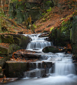 Scenic view of waterfall in forest