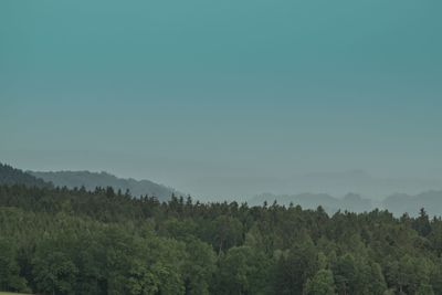 Scenic view of forest against clear sky