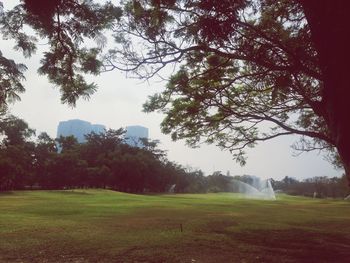 Scenic view of grassy field against sky