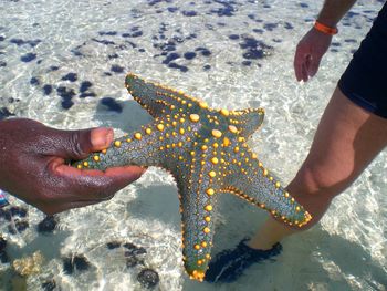 Low section of person on sea shore