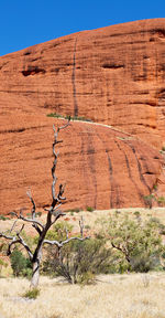 View of a desert