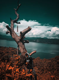 Driftwood on tree by lake against sky