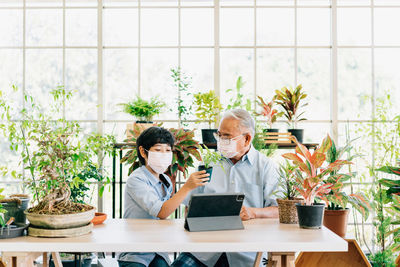 Potted plant on table