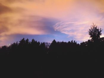 Silhouette trees against sky during sunset