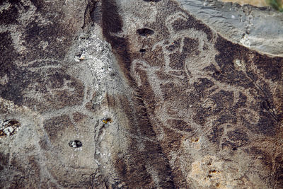 Close-up of footprints on sand at beach