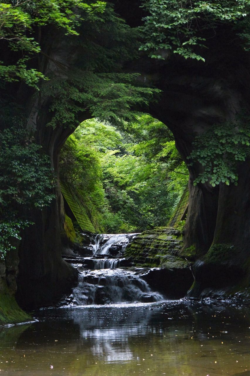 SCENIC VIEW OF WATERFALL