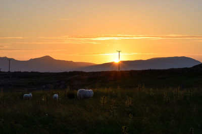 Scenic view of field against sky during sunset