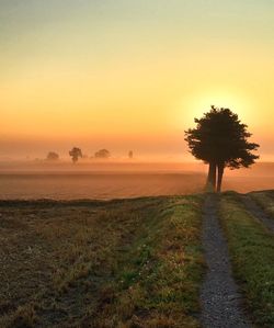 Scenic view of field against sky during sunset