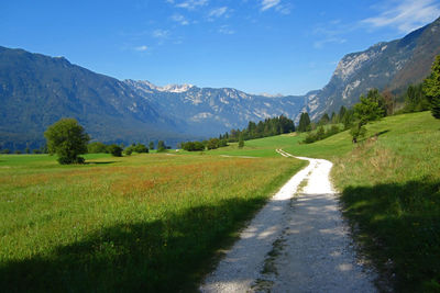 mountain