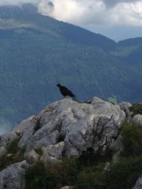 Scenic view of mountains