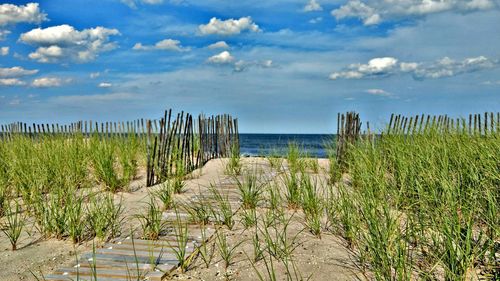 Scenic view of beach against sky