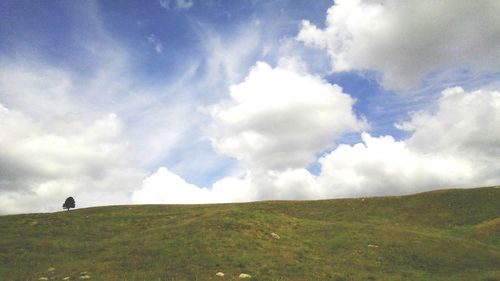 Scenic view of grassy field against cloudy sky
