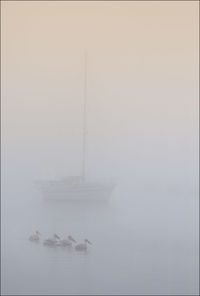 Boat in sea against sky during foggy weather