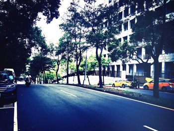 Road passing through forest