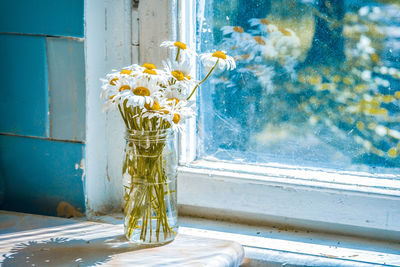 Daisies in a glass jar near a window, filter or effect