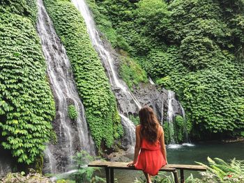 Rear view of woman sitting on bench by waterfall on mountain in forest