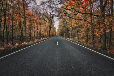 Empty road amidst trees in forest during autumn