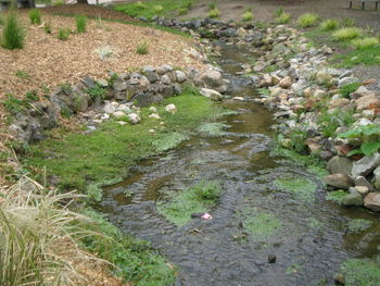 River flowing through rocks