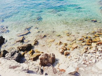 High angle view of pebbles on beach