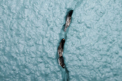 High angle view of person swimming in sea