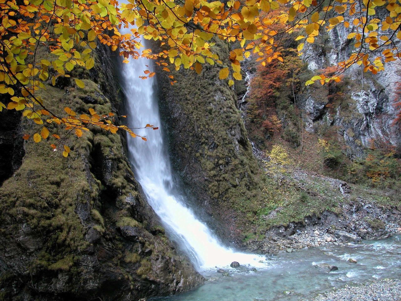 WATERFALL IN FOREST DURING AUTUMN