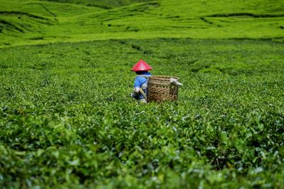 Rear view of boy working on field