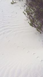 High angle view of beach during winter