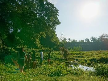 Scenic view of grassy field in park