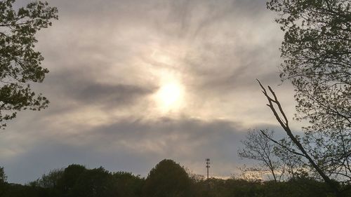 Low angle view of trees against cloudy sky