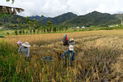 Farmers working on agricultural field