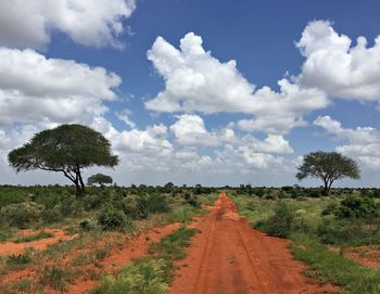 Road amidst trees against sky