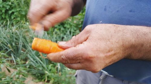 Close-up of man holding orange leaf